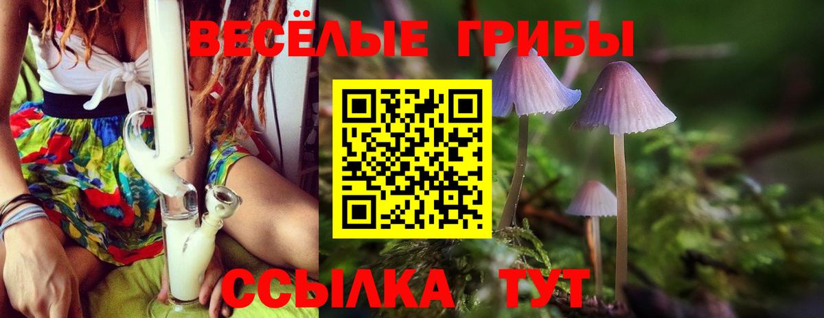 Галлюциногенные грибы Psilocybine cubensis Орёл