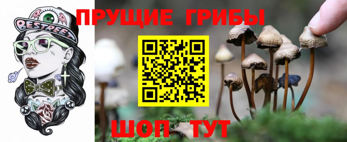 Орёл  Галлюциногенные грибы ЛСД  Вход с VPN  Галлюциногенные грибы Psilocybe 